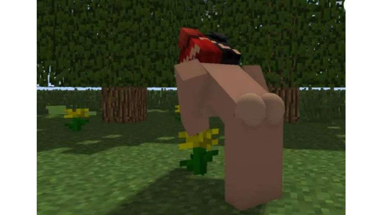 minecraft porn sex texture pack free porn games minecraft video