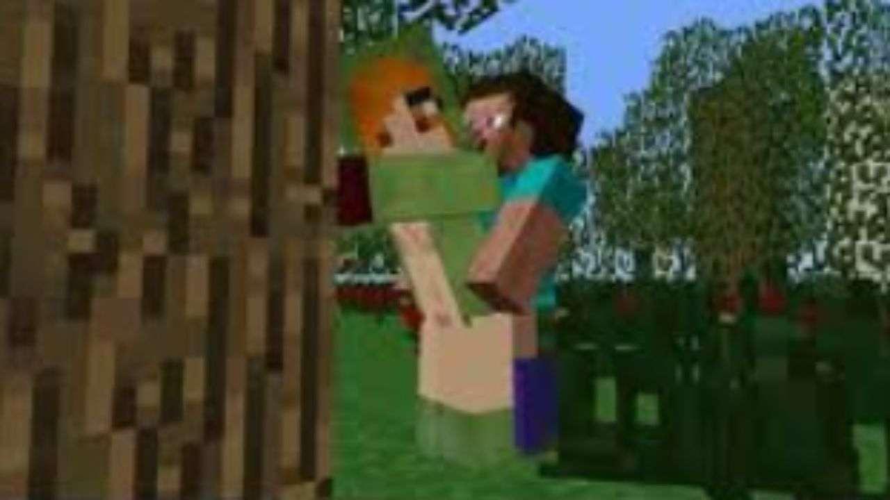 minecraft alex endermen porn opening minecraft porn on verizon router video